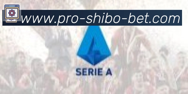 世博体育官网合作伙伴